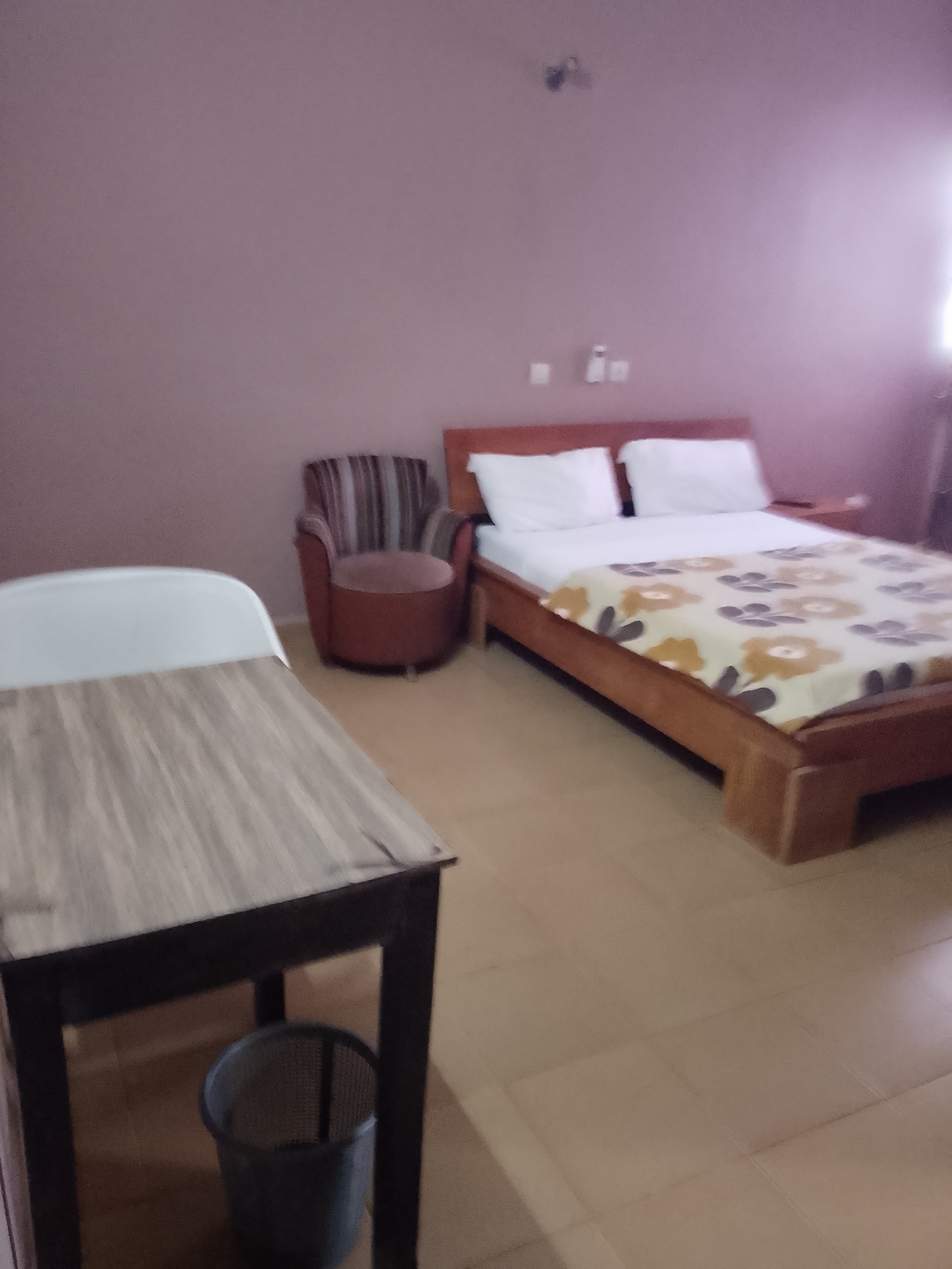 HOTEL LE ROCHER - 4